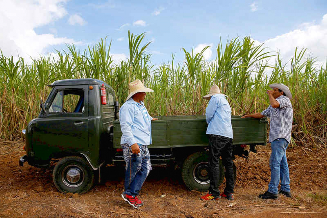 Sugar harvest no sweetener for Cuba's ailing economy